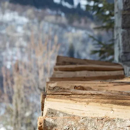 Chalet Chalet Le Yeti *